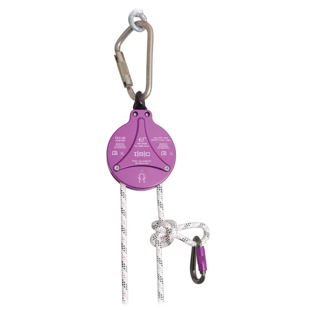 Alf Climb Assist Locking Pulley - Purple