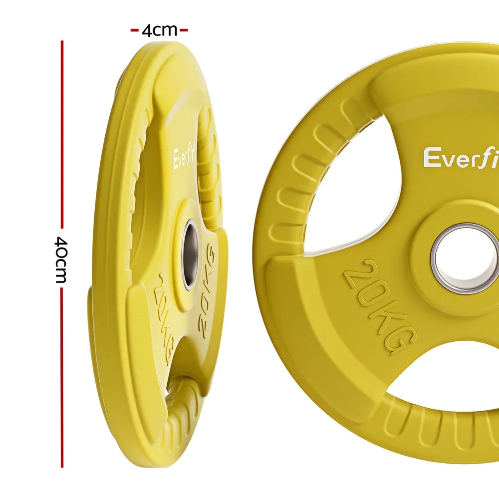 Heavy-Duty Cast Iron Weight Plates 20kgx2 - Everfit